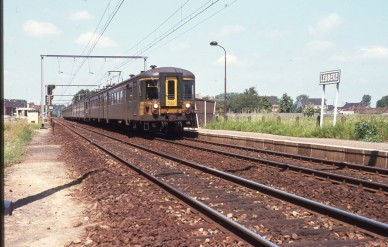 Lebbeke - TH 81-5226.jpg